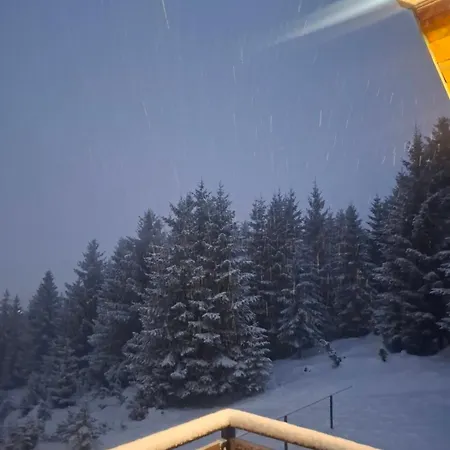 Vila Tea Durmitor Žabljak Dış mekan fotoğraf