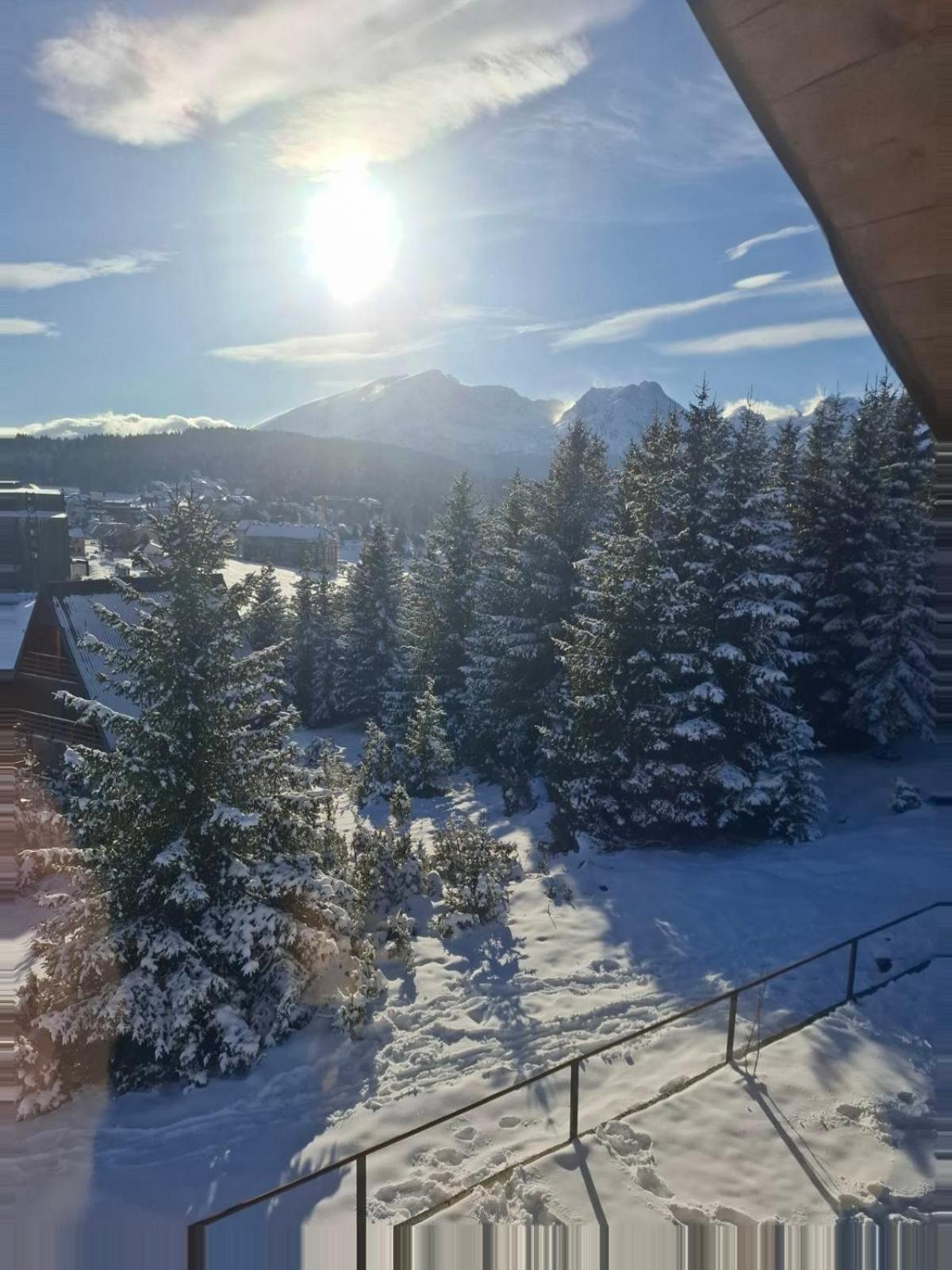 Brvnara Tea Durmitor