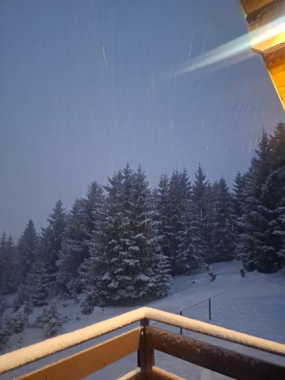 Chalet Tea Durmitor *