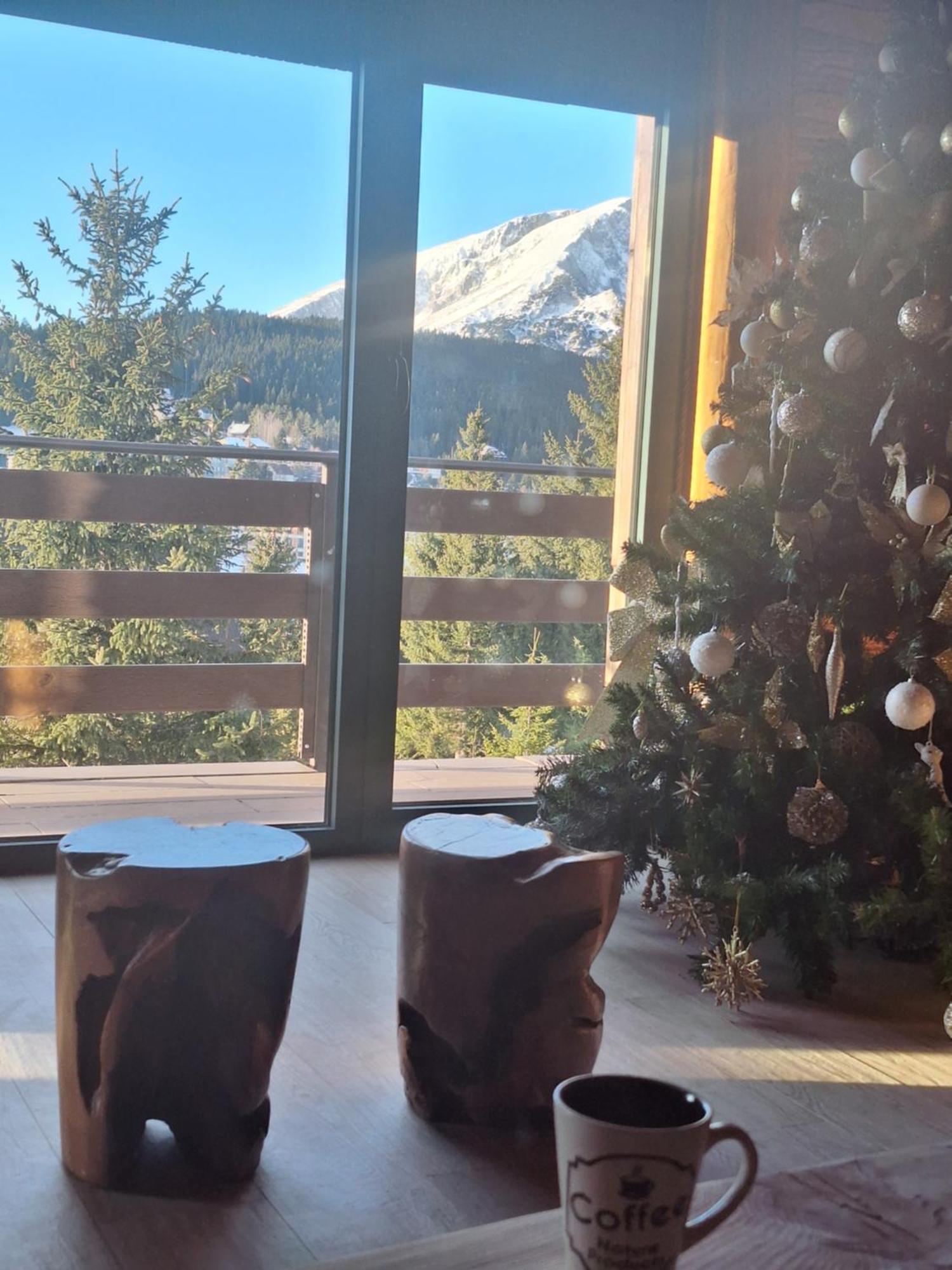 Brvnara Tea Durmitor
